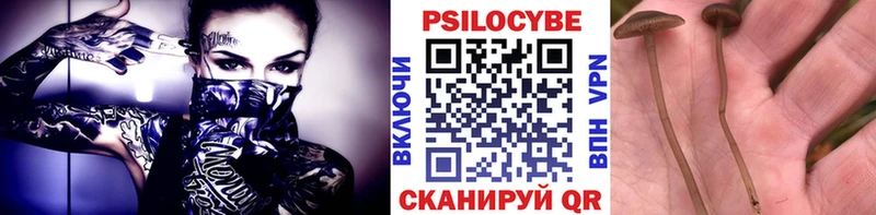 Псилоцибиновые грибы Cubensis Кола